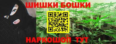 дмт Камышлов