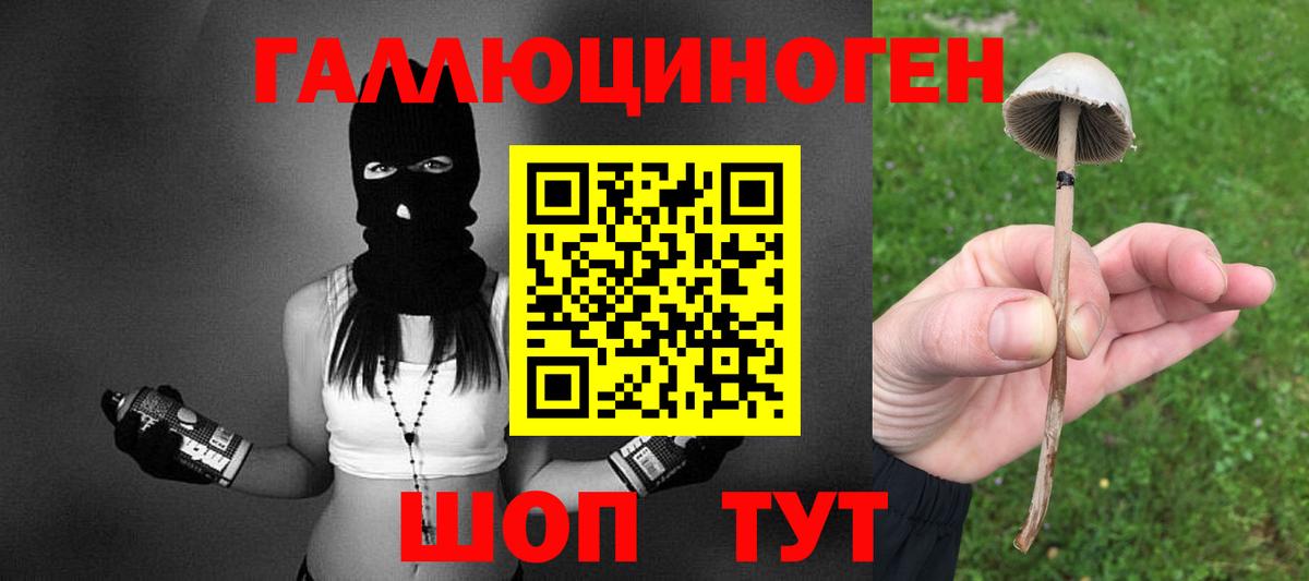 Галлюциногенные грибы MAGIC MUSHROOMS  Вход с VPN  Кушва 